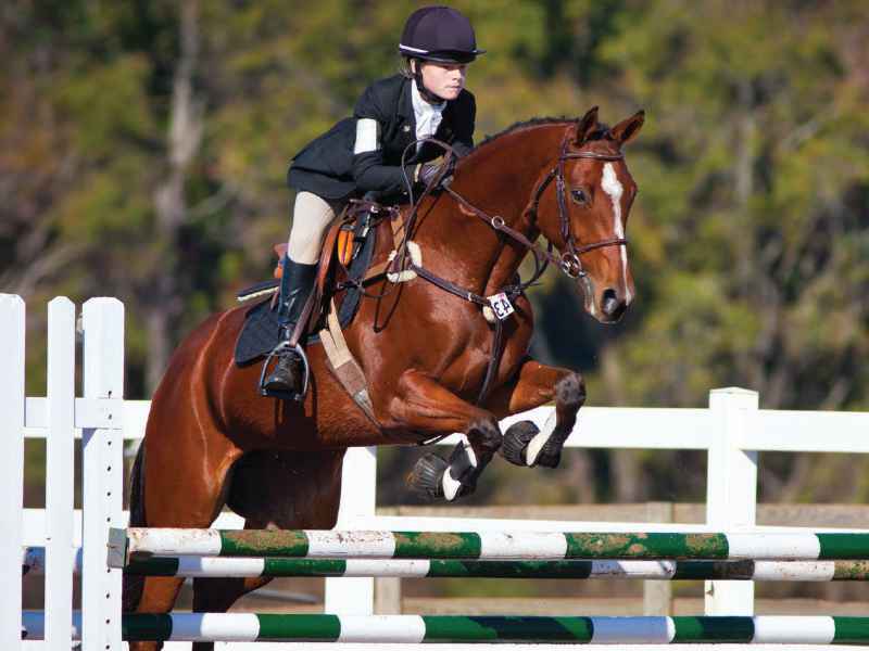A lady riding a horse jumping on a fence
