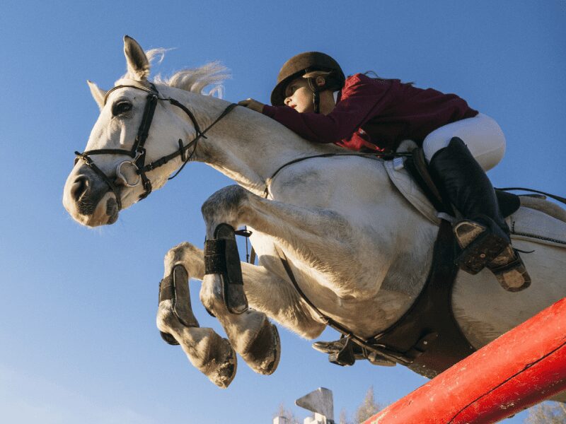 A lady riding a horse jumping